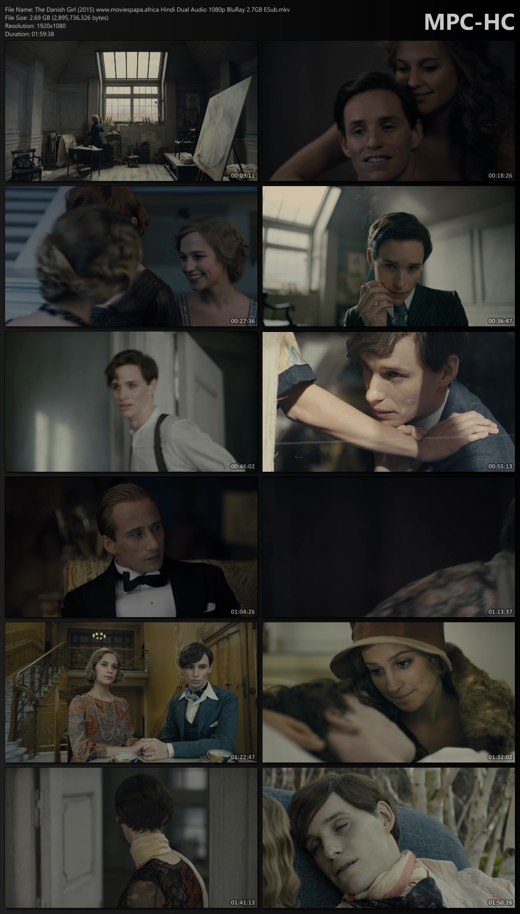 1727098091 596 The Danish Girl 2015 Hindi Dual Audio BluRay ESub Download