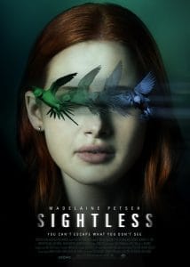 Sightless 2020 Hindi Dual Audio 1080p