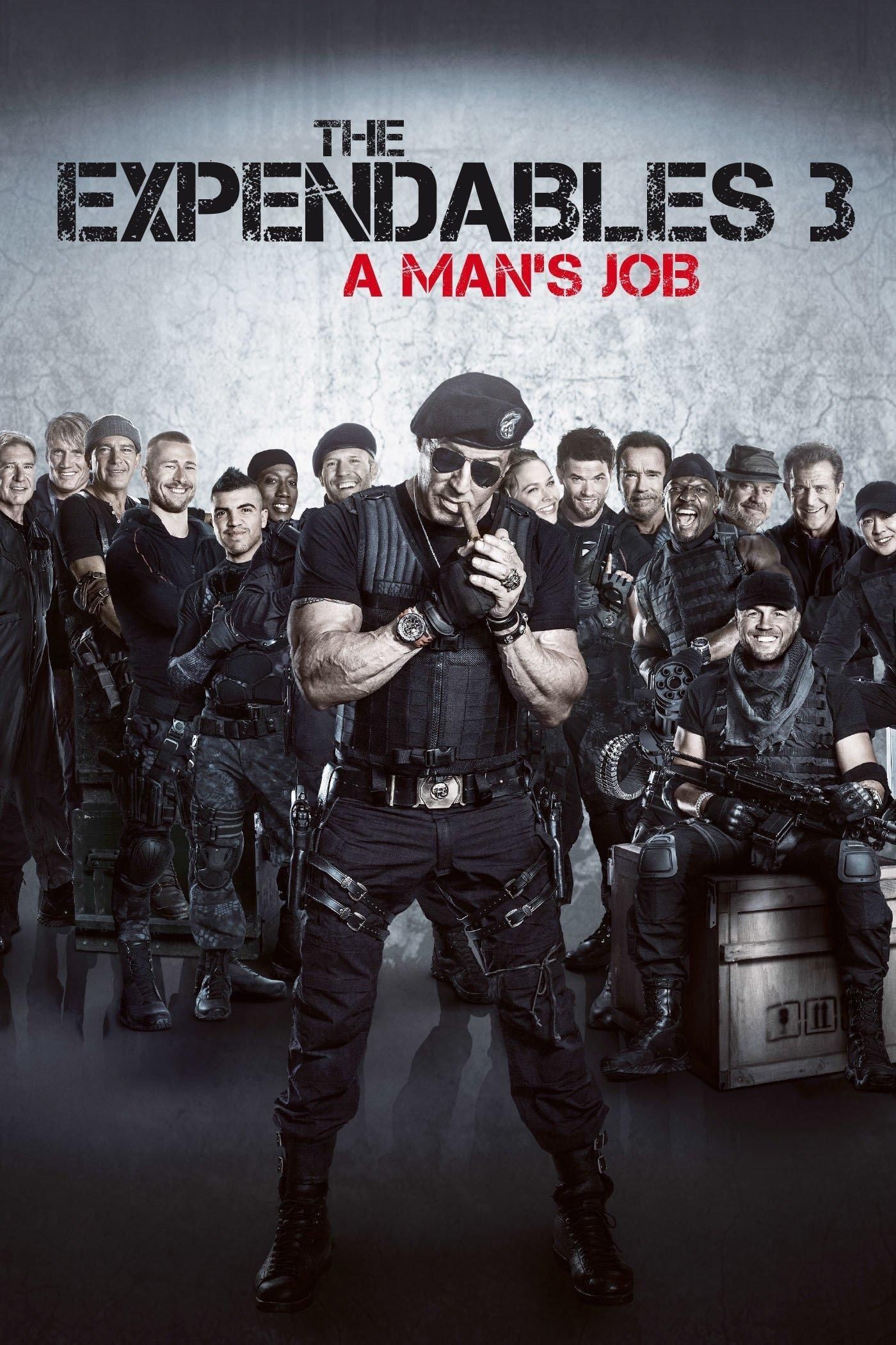 The Expendables 3 2014 Hindi Dual Audio BluRay MSub Download