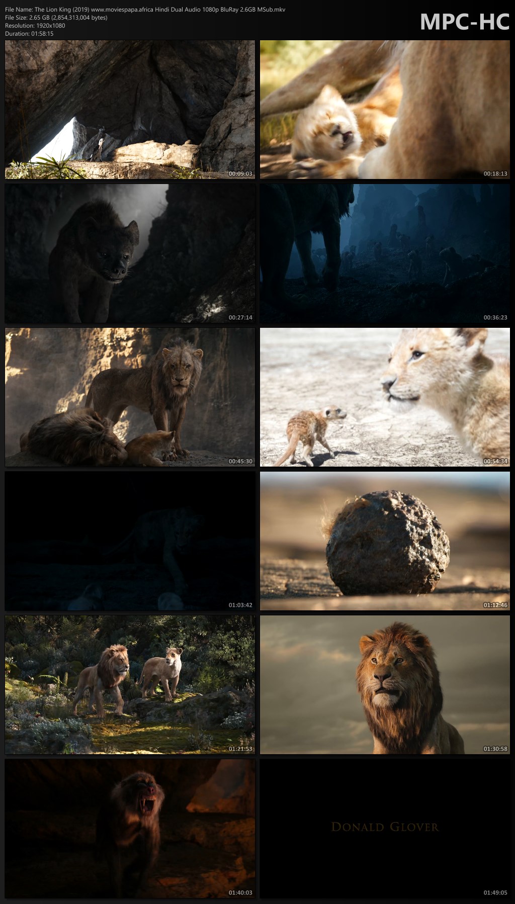 The Lion King 2019 Hindi Dual Audio BluRay MSub Download