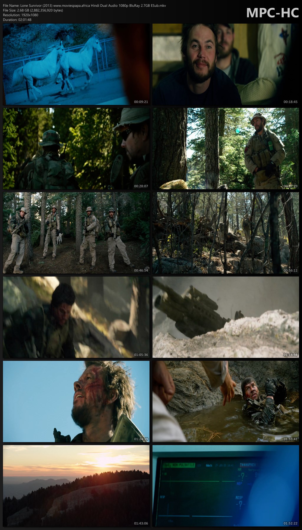 1728804675 579 Lone Survivor 2013 Hindi Dual Audio BluRay ESub Download