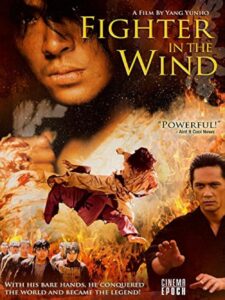 Fighter In The Wind 2004 Hindi ORG Dual Audio 1080p