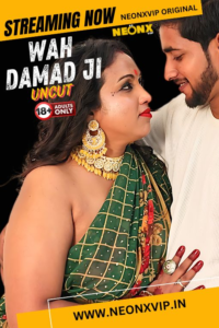 Wah Damad Ji 2024 NeonX Hindi Short Film 1080p