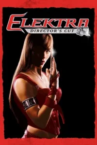 Elektra 2005 Hindi English Esubs Directors