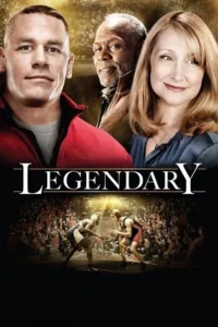 Legendary 2010 Hindi dubbed